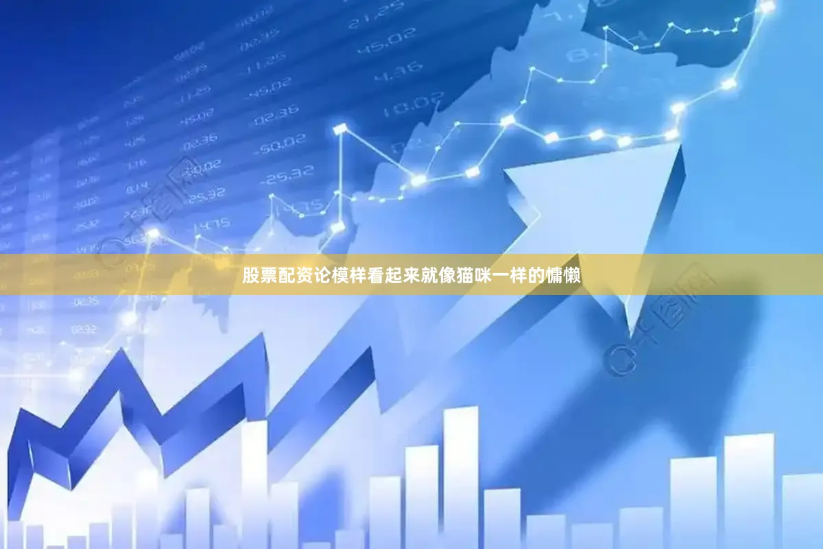 股票配资论模样看起来就像猫咪一样的慵懒
