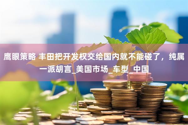 鹰眼策略 丰田把开发权交给国内就不能碰了，纯属一派胡言_美国市场_车型_中国