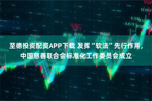 至德投资配资APP下载 发挥“软法”先行作用，中国慈善联合会标准化工作委员会成立