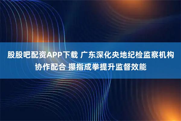 股股吧配资APP下载 广东深化央地纪检监察机构协作配合 攥指成拳提升监督效能